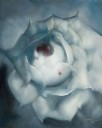 LFH-206《玫瑰2003 No.7》
