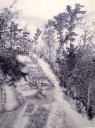 国画作品7