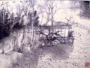 国画作品9