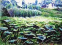 作品17
