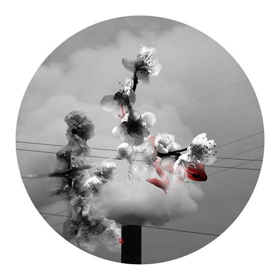 红蛙系列-梅花之一-90x90