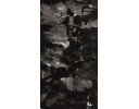 水墨作品三