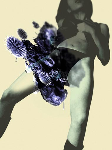 《女人与花》 摄影 2