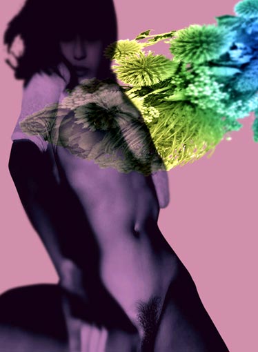 《女人与花》 摄影 3