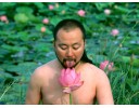 舔荷花
