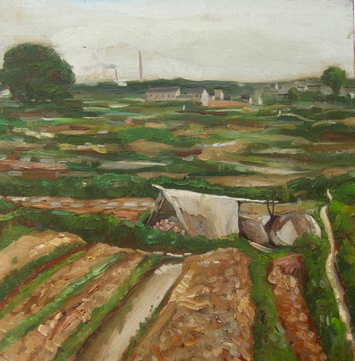 田野